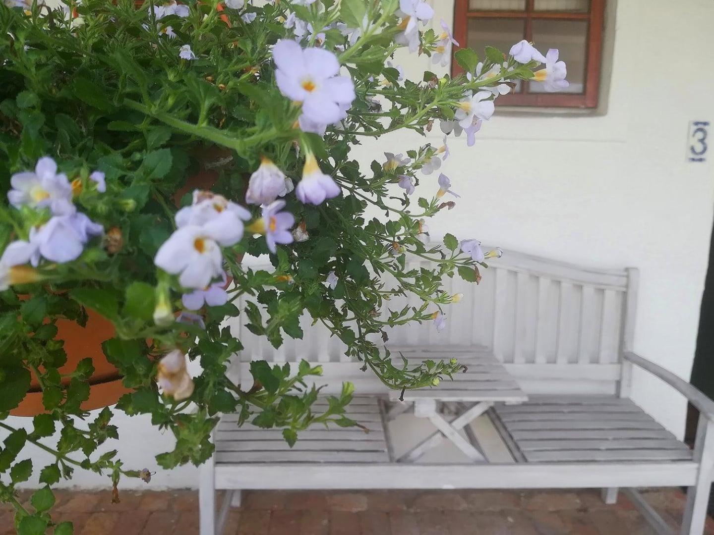 Kaijaiki Country Inn And Restaurant Yzerfontein Phòng bức ảnh